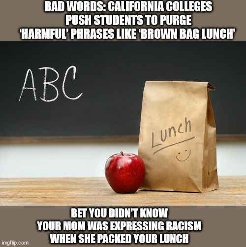 Brown Bag Lunch | BAD WORDS: CALIFORNIA COLLEGES PUSH STUDENTS TO PURGE ‘HARMFUL’ PHRASES LIKE ‘BROWN BAG LUNCH’; BET YOU DIDN'T KNOW YOUR MOM WAS EXPRESSING RACISM WHEN SHE PACKED YOUR LUNCH | image tagged in brown bag lunch,racist | made w/ Imgflip meme maker