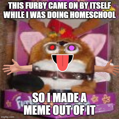 dear furby possessed by a demon in my house, dont murder me in my sleep | THIS FURBY CAME ON BY ITSELF WHILE I WAS DOING HOMESCHOOL; SO I MADE A MEME OUT OF IT | image tagged in memes | made w/ Imgflip meme maker