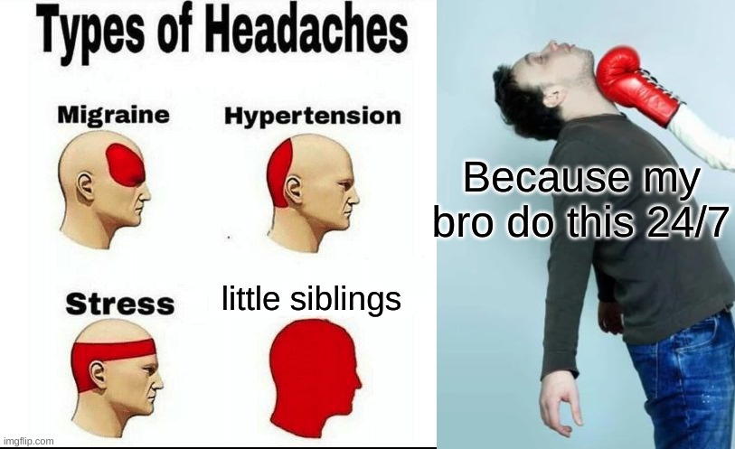 Siblings... | Because my bro do this 24/7; little siblings | image tagged in types of headaches meme,punch | made w/ Imgflip meme maker
