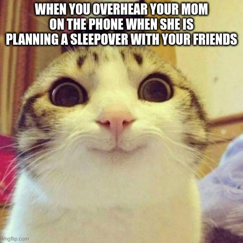 I love when this happens | WHEN YOU OVERHEAR YOUR MOM ON THE PHONE WHEN SHE IS PLANNING A SLEEPOVER WITH YOUR FRIENDS | image tagged in memes,smiling cat,sleep,friends | made w/ Imgflip meme maker