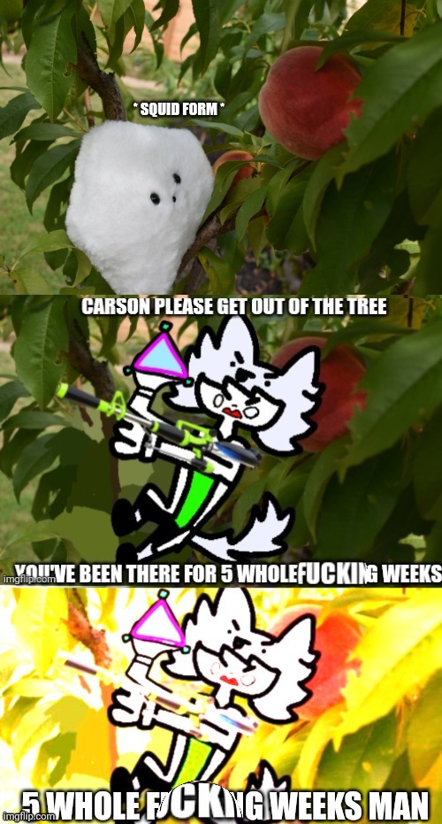 5 WHOLE F*CCING WEEKS MAN | image tagged in splatoon,itemlabel | made w/ Imgflip meme maker