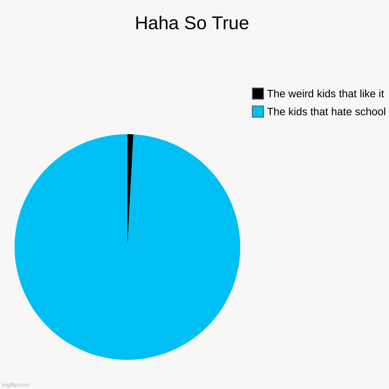 Haha So True | The kids that hate school, The weird kids that like it | image tagged in charts,pie charts | made w/ Imgflip chart maker