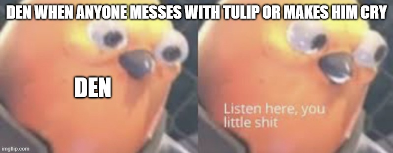 o my god i actually made a title i have found my talent | DEN WHEN ANYONE MESSES WITH TULIP OR MAKES HIM CRY; DEN | image tagged in listen here you little shit bird | made w/ Imgflip meme maker