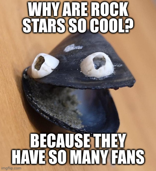 That one left me cold | WHY ARE ROCK STARS SO COOL? BECAUSE THEY HAVE SO MANY FANS | image tagged in dadjoke mussel | made w/ Imgflip meme maker