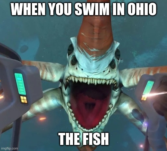 Can’t even swim in Ohio | WHEN YOU SWIM IN OHIO; THE FISH | image tagged in can t even swim in ohio | made w/ Imgflip meme maker