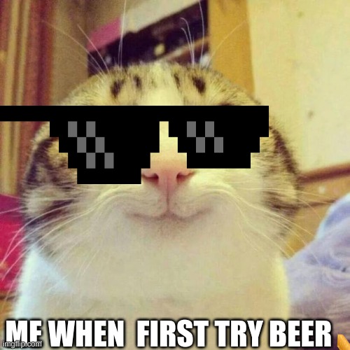 Smiling Cat | ME WHEN  FIRST TRY BEER | image tagged in memes,smiling cat | made w/ Imgflip meme maker