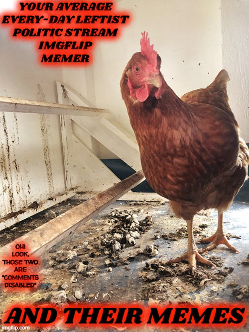 YOUR AVERAGE EVERY-DAY LEFTIST POLITICS STRAM MEMER | YOUR AVERAGE
EVERY-DAY LEFTIST
POLITIC STREAM
IMGFLIP
MEMER; OH! LOOK, THOSE TWO ARE
"COMMENTS DISABLED"; AND THEIR MEMES | image tagged in chicken shit,comments disabled | made w/ Imgflip meme maker