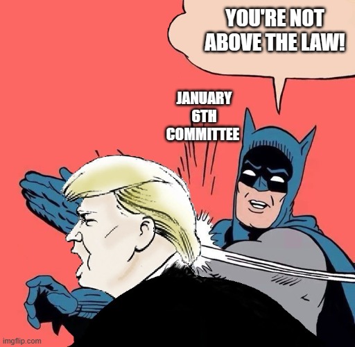 Batman slaps Trump | YOU'RE NOT ABOVE THE LAW! JANUARY 6TH COMMITTEE | image tagged in batman slaps trump | made w/ Imgflip meme maker