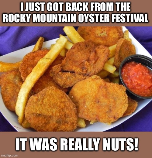 Nuts | I JUST GOT BACK FROM THE ROCKY MOUNTAIN OYSTER FESTIVAL; IT WAS REALLY NUTS! | image tagged in bad pun | made w/ Imgflip meme maker