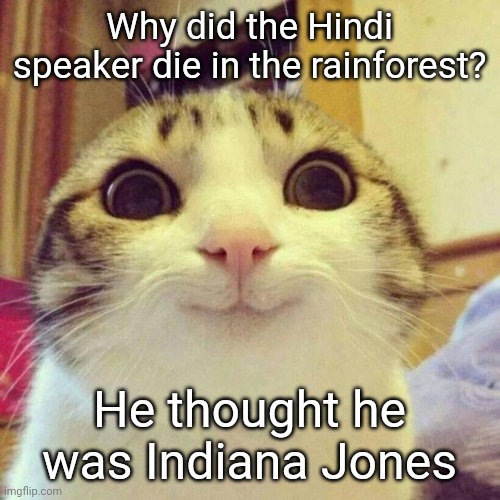 - | Why did the Hindi speaker die in the rainforest? He thought he was Indiana Jones | image tagged in memes,smiling cat | made w/ Imgflip meme maker