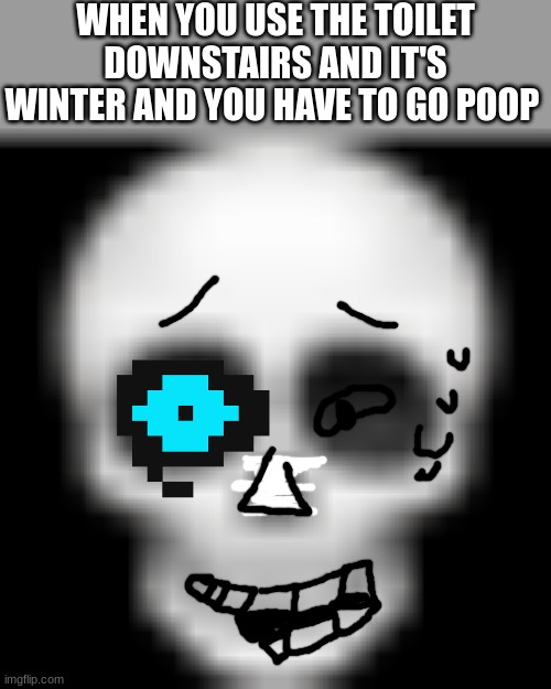 Skull emoji | WHEN YOU USE THE TOILET DOWNSTAIRS AND IT'S WINTER AND YOU HAVE TO GO POOP | image tagged in skull emoji | made w/ Imgflip meme maker