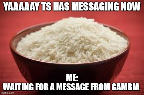 All this rice | YAAAAAY TS HAS MESSAGING NOW; ME:
WAITING FOR A MESSAGE FROM GAMBIA | image tagged in all this rice | made w/ Imgflip meme maker
