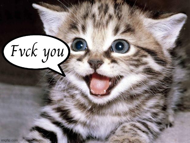 Uber Cute Cat | Fvck you | image tagged in uber cute cat | made w/ Imgflip meme maker