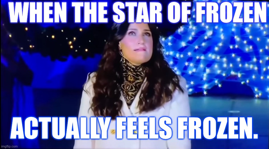 Poor Idina! | WHEN THE STAR OF FROZEN; ACTUALLY FEELS FROZEN. | image tagged in frozen,frozen 2 | made w/ Imgflip meme maker
