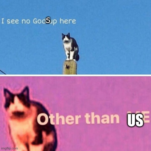 Hail pole cat | S US | image tagged in hail pole cat | made w/ Imgflip meme maker