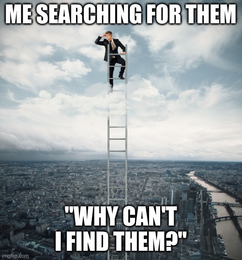 searching | ME SEARCHING FOR THEM "WHY CAN'T I FIND THEM?" | image tagged in searching | made w/ Imgflip meme maker