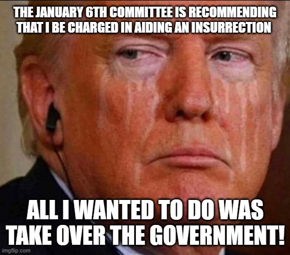 Crying Donald Trump | THE JANUARY 6TH COMMITTEE IS RECOMMENDING THAT I BE CHARGED IN AIDING AN INSURRECTION; ALL I WANTED TO DO WAS TAKE OVER THE GOVERNMENT! | image tagged in crying donald trump | made w/ Imgflip meme maker