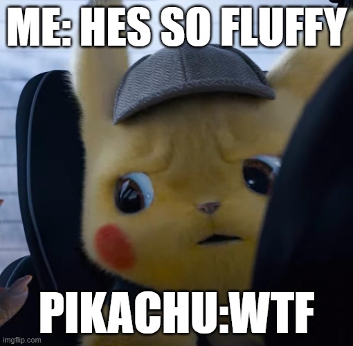 Unsettled detective pikachu | ME: HES SO FLUFFY; PIKACHU:WTF | image tagged in unsettled detective pikachu | made w/ Imgflip meme maker