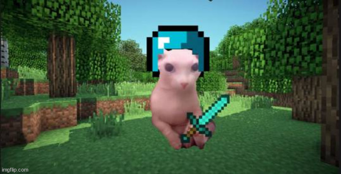 Minecraft bingus | image tagged in minecraft bingus | made w/ Imgflip meme maker