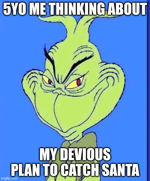 Good Grinch | 5YO ME THINKING ABOUT; MY DEVIOUS PLAN TO CATCH SANTA | image tagged in good grinch | made w/ Imgflip meme maker