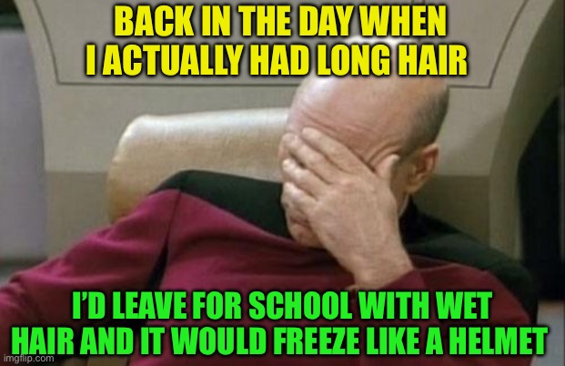 Captain Picard Facepalm Meme | BACK IN THE DAY WHEN I ACTUALLY HAD LONG HAIR I’D LEAVE FOR SCHOOL WITH WET HAIR AND IT WOULD FREEZE LIKE A HELMET | image tagged in memes,captain picard facepalm | made w/ Imgflip meme maker