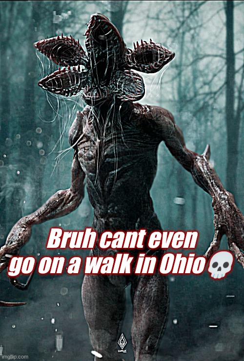 Stranger Things | Bruh cant even go on a walk in Ohio💀 | image tagged in ohio | made w/ Imgflip meme maker