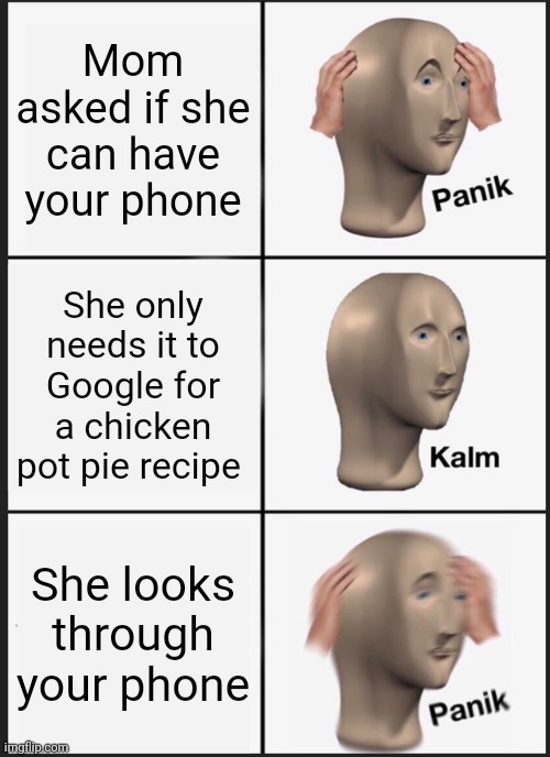 This happened to me the other day:( (ps I'm sick) | Mom asked if she can have your phone; She only needs it to Google for a chicken pot pie recipe; She looks through your phone | image tagged in memes,panik kalm panik | made w/ Imgflip meme maker