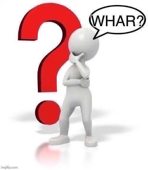 Whar? | image tagged in whar | made w/ Imgflip meme maker