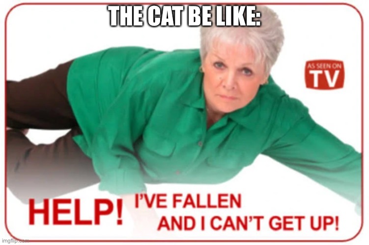 Help! I've fallen and I can't get up! | THE CAT BE LIKE: | image tagged in help i've fallen and i can't get up | made w/ Imgflip meme maker