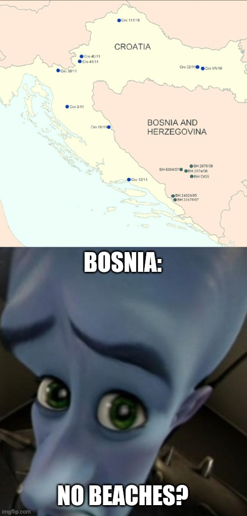 BOSNIA:; NO BEACHES? | image tagged in megamind no bitches | made w/ Imgflip meme maker