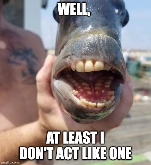 Well at Least British Fish | WELL, AT LEAST I DON'T ACT LIKE ONE | image tagged in well at least british fish | made w/ Imgflip meme maker