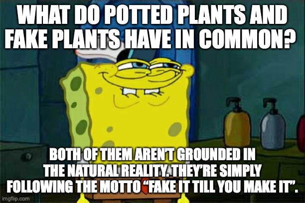 Don't You Squidward | WHAT DO POTTED PLANTS AND FAKE PLANTS HAVE IN COMMON? BOTH OF THEM AREN’T GROUNDED IN THE NATURAL REALITY. THEY’RE SIMPLY FOLLOWING THE MOTTO “FAKE IT TILL YOU MAKE IT”. | image tagged in memes,don't you squidward | made w/ Imgflip meme maker