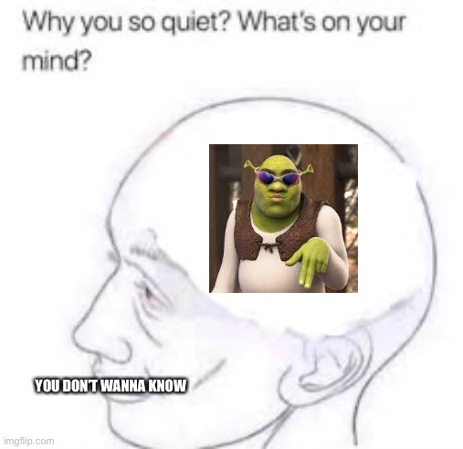 Gangster shrek | YOU DON’T WANNA KNOW | image tagged in what s on your mind | made w/ Imgflip meme maker