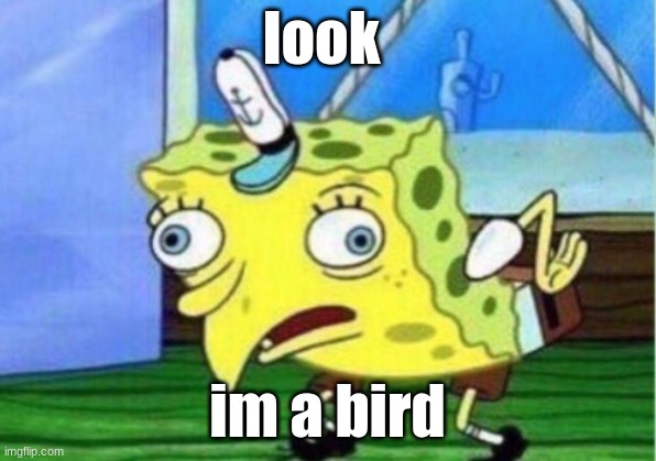 Mocking Spongebob | look; im a bird | image tagged in memes,mocking spongebob | made w/ Imgflip meme maker