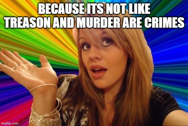 Dumb Blonde Meme | BECAUSE ITS NOT LIKE TREASON AND MURDER ARE CRIMES | image tagged in memes,dumb blonde | made w/ Imgflip meme maker