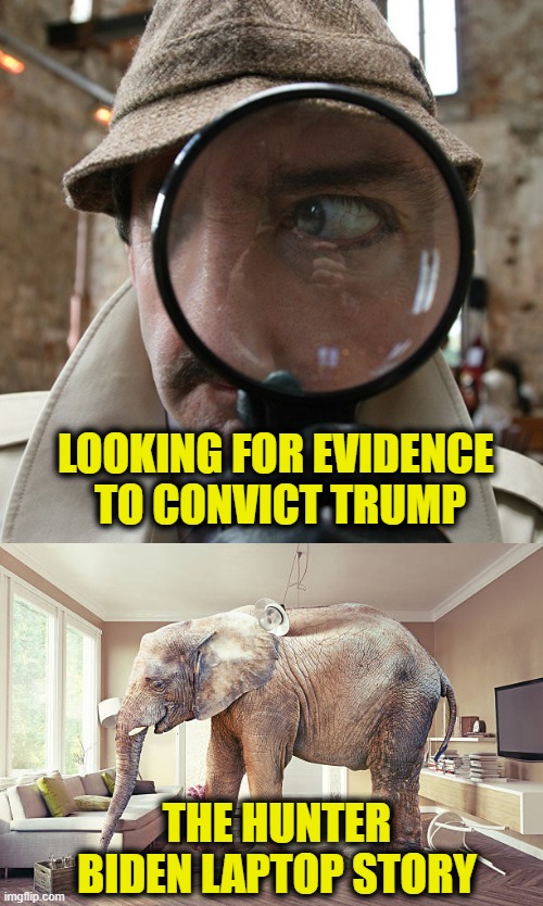 What elephant? | LOOKING FOR EVIDENCE
 TO CONVICT TRUMP; THE HUNTER BIDEN LAPTOP STORY | image tagged in hunter biden | made w/ Imgflip meme maker