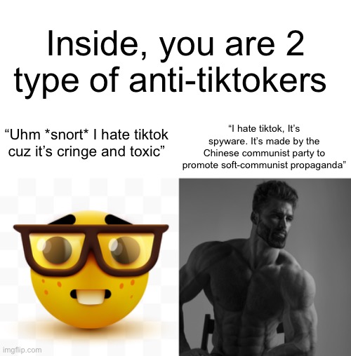 Inside, you are 2 type of anti-tiktokers; “I hate tiktok, It’s spyware. It’s made by the Chinese communist party to promote soft-communist propaganda”; “Uhm *snort* I hate tiktok cuz it’s cringe and toxic” | image tagged in nerd emoji,giga chad,memes | made w/ Imgflip meme maker