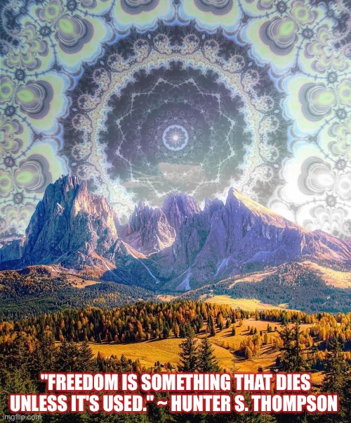 Freedom | "FREEDOM IS SOMETHING THAT DIES UNLESS IT'S USED." ~ HUNTER S. THOMPSON | image tagged in freedom | made w/ Imgflip meme maker