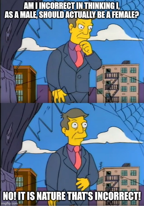 Skinner Out Of Touch | AM I INCORRECT IN THINKING I, AS A MALE, SHOULD ACTUALLY BE A FEMALE? NO! IT IS NATURE THAT'S INCORRECT! | image tagged in skinner out of touch | made w/ Imgflip meme maker