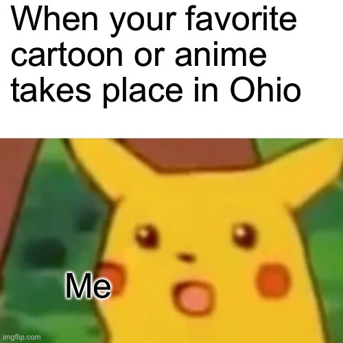 Noooooo | When your favorite cartoon or anime takes place in Ohio; Me | image tagged in memes,surprised pikachu | made w/ Imgflip meme maker