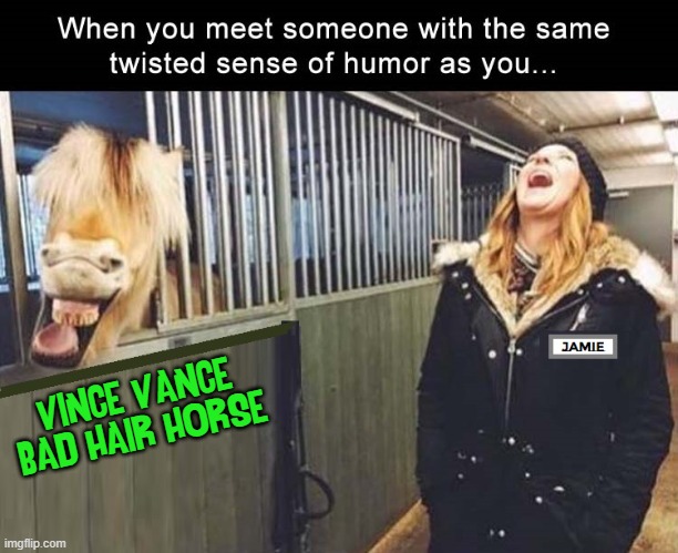 "Laughter is the Best Medicine." —Mr. Ed |  VINCE VANCE
BAD HAIR HORSE | image tagged in vince vance,horses,only fools and horses,laughter is the best medicine,memes,horse sense | made w/ Imgflip meme maker