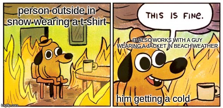 relatable | person outside in snow wearing a t-shirt; IT ALSO WORKS WITH A GUY WEARING A JACKET IN BEACH WEATHER; him getting a cold | image tagged in memes,this is fine | made w/ Imgflip meme maker