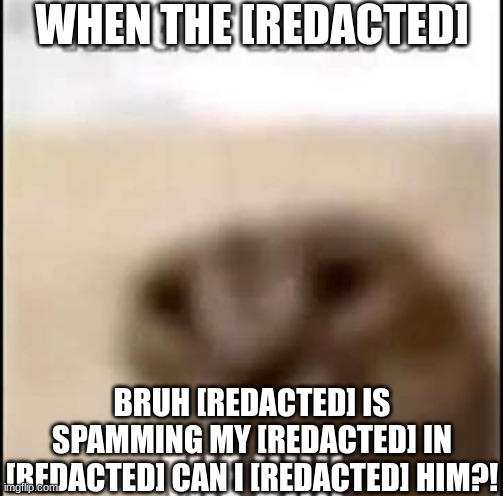 he's just so [redacted] | WHEN THE [REDACTED]; BRUH [REDACTED] IS SPAMMING MY [REDACTED] IN [REDACTED] CAN I [REDACTED] HIM?! | image tagged in the got damn the uh the uhhh | made w/ Imgflip meme maker