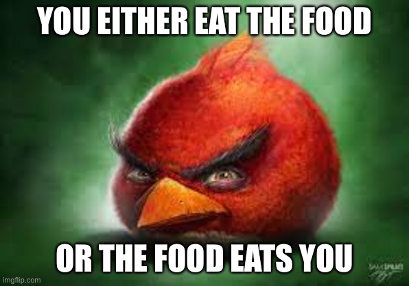 Realistic Red Angry Birds | YOU EITHER EAT THE FOOD; OR THE FOOD EATS YOU | image tagged in realistic red angry birds | made w/ Imgflip meme maker