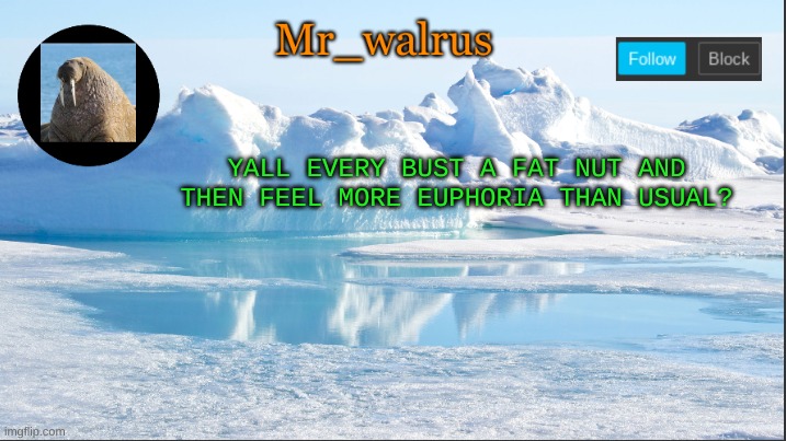 ultra bliss | YALL EVERY BUST A FAT NUT AND THEN FEEL MORE EUPHORIA THAN USUAL? | image tagged in mr_walrus | made w/ Imgflip meme maker