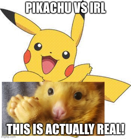 Pokemon | PIKACHU VS IRL; THIS IS ACTUALLY REAL! | image tagged in pokemon | made w/ Imgflip meme maker