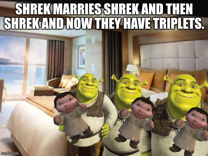 trip trip them triplets | SHREK MARRIES SHREK AND THEN SHREK AND NOW THEY HAVE TRIPLETS. | image tagged in cruise ship bedroom | made w/ Imgflip meme maker
