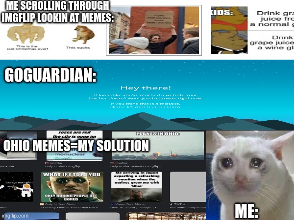 ME SCROLLING THROUGH IMGFLIP LOOKIN AT MEMES:; GOGUARDIAN:; OHIO MEMES=MY SOLUTION; ME: | image tagged in sad cat,imgflippers | made w/ Imgflip meme maker