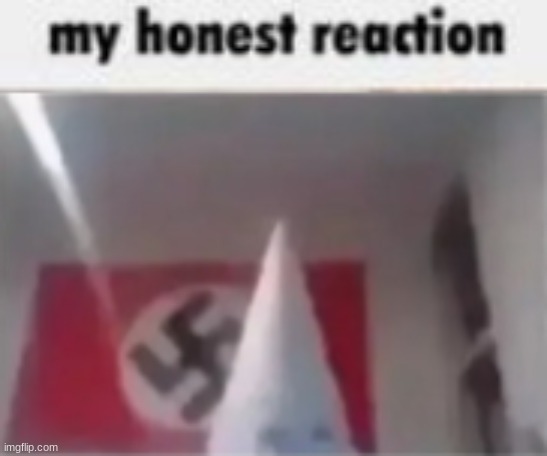 image tagged in my honest reaction,bros gonna whip a black person | made w/ Imgflip meme maker