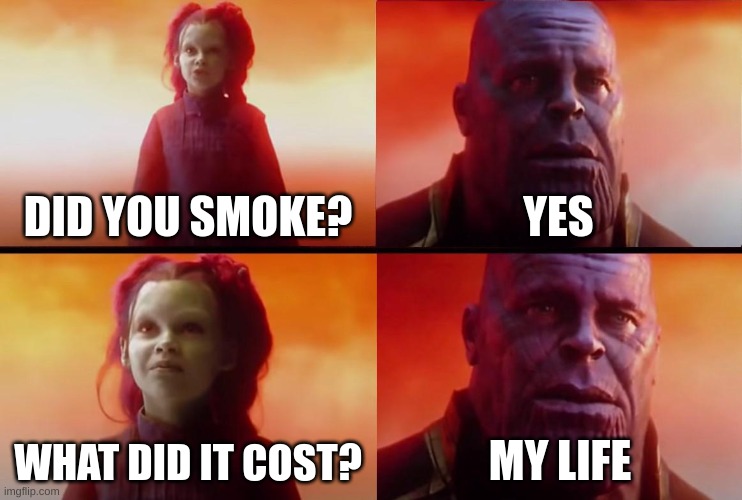 Smoking what did it cost | DID YOU SMOKE? YES; WHAT DID IT COST? MY LIFE | image tagged in thanos what did it cost | made w/ Imgflip meme maker
